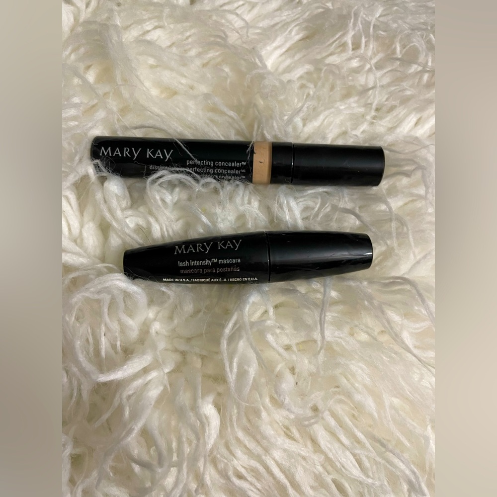 Mascara and concealer Kit